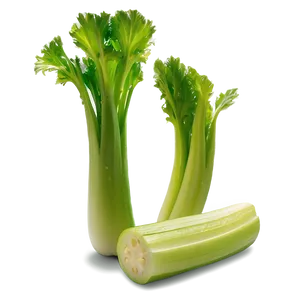 Fresh Cut Celery Png 51 PNG Image