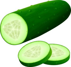 Cucumber Png Clipart Image - Cucumber Clipart, Transparent Png PNG image with transparent background