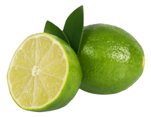 Fresh Cut Limewith Leaves PNG with transparent background