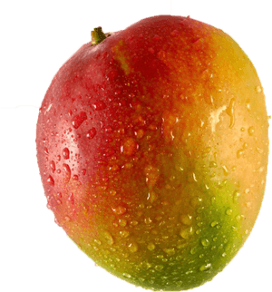 Fresh Dew Kissed Mango PNG with transparent background