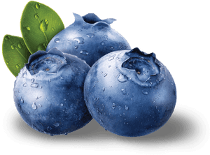 Blueberries Png - Blueberry Fruit, Transparent PNG with transparent background