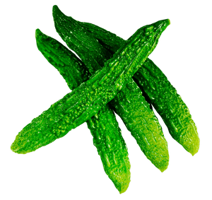 Fresh Dewy Cucumbers PNG image with transparent background