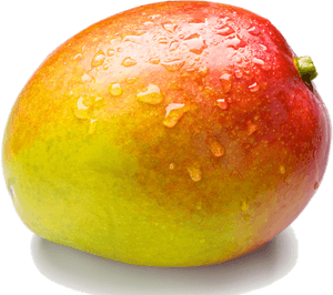 Fresh Dewy Mango Fruit PNG image with transparent background