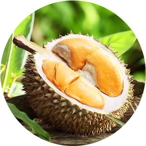 Fresh Durian Fruit Cut Open PNG Image