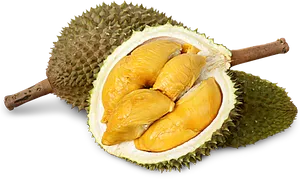 Fresh Durian Fruit Open PNG Image