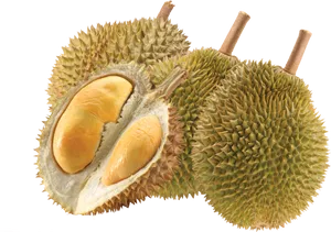 Fresh Durian Fruitand Seed Pods PNG Image