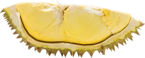 Fresh Durian Segment PNG Image