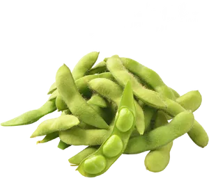 Fresh Edamame Pods Akita Selection PNG Image