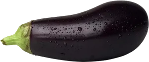 Fresh Eggplantwith Water Droplets PNG Image