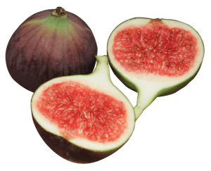 Fresh Fig Fruit Halved PNG