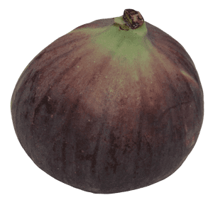 Fresh Fig Fruit Isolated PNG