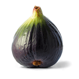 Fresh Fig Fruit PNG 38 PNG