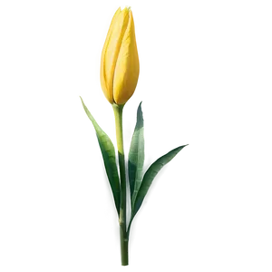 Fresh Flower Stem Png 76 PNG Image