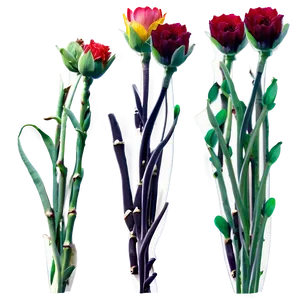 Fresh Flower Stem Png Anb90 PNG Image