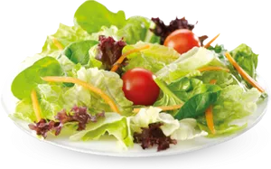 Fresh Garden Salad Plate PNG Image