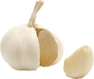 Garlic , Png Download - Garlic, Transparent Png PNG with transparent background