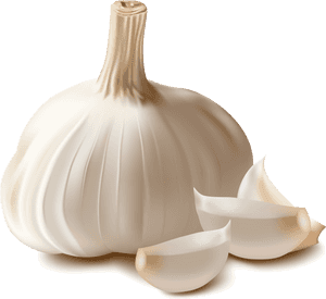 Garlic Png, Transparent Png PNG with transparent background
