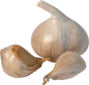 Garlic Bread Crostino Elephant Garlic Chili Con Carne - Garlic Png Transparent, Png Download PNG image with transparent background