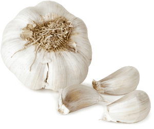 Download Garlic Png File - Garlic Png, Transparent Png PNG with transparent background