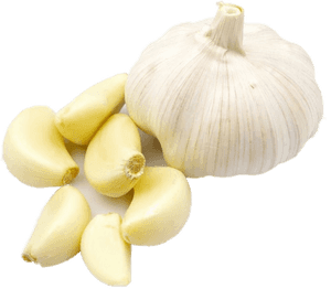Garlic Body, HD Png Download PNG image with transparent background