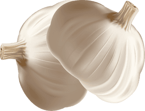 Garlic Onion Euclidean Vector - Garlic, HD Png Download PNG with transparent background