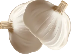 Fresh Garlic Bulbs Illustration PNG Image