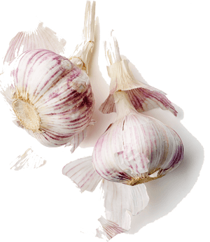 Shrimp, Flour, Garlic, Oregano And Thyme - Garlic, HD Png Download PNG