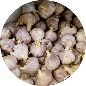 4 - Garlic, HD Png Download PNG image with transparent background