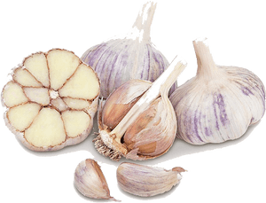Garlic , Png Download - Garlic, Transparent Png PNG with transparent background