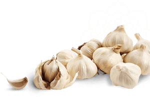 Garlic Clipart Garlic Clove - سیر Png, Transparent Png PNG image with transparent background