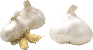 Garlic Png, Transparent Png PNG with transparent background