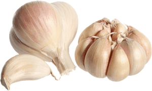 Garlic Png Photo - Garlic Clove, Transparent Png PNG with transparent background