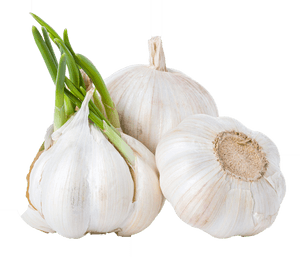 Garlic Png Background Clipart - Characteristics Of Fresh Garlic, Transparent Png PNG with transparent background
