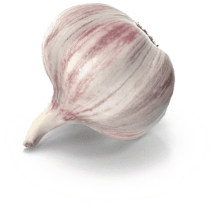 Garlic Png Free Download - Garlic, Transparent Png PNG with transparent background
