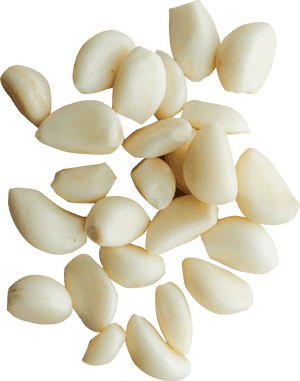 Garlic Png - Peeled Garlic Png, Transparent Png PNG with transparent background