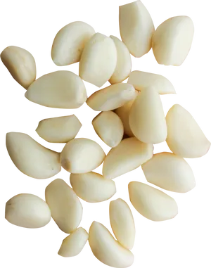 Fresh Garlic Cloves Isolated PNG Image