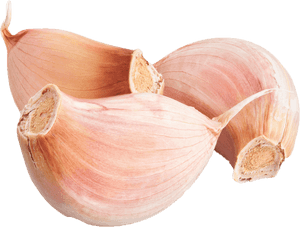 Transparent Immune System Clipart - Garlic, HD Png Download PNG image with transparent background