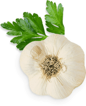 Garlic Free Png Image Download - Garlic From Top Png, Transparent Png PNG with transparent background