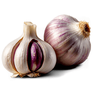 Fresh Garlic PNG 95 PNG image with transparent background