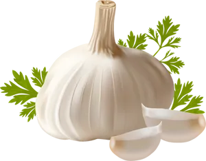 Fresh Garlicand Parsley.png PNG Image