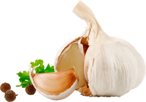 Garlic Png Image - High Resolution Garlic Png, Transparent Png PNG with transparent background