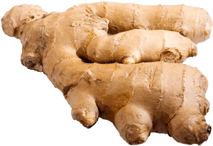 Fresh Ginger Root PNG with transparent background