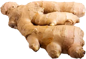 Fresh Ginger Root PNG Image