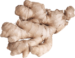 Fresh Ginger Root PNG with transparent background