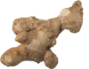 Fresh Ginger Root PNG Image