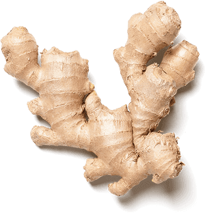 Fresh Ginger Root PNG with transparent background