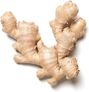 Fresh Ginger Root PNG Image