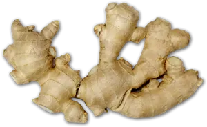 Fresh Ginger Root Isolated PNG Image