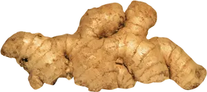 Fresh Ginger Root Isolated PNG Image