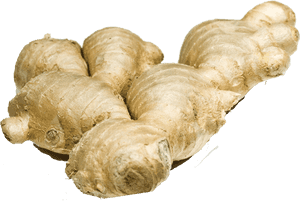 Fresh Ginger Root Isolated.png PNG with transparent background